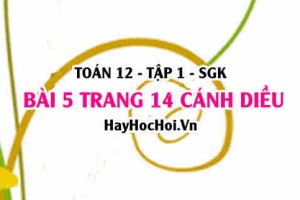 Bài 5 trang 14 Toán 12 tập 1 Cánh Diều